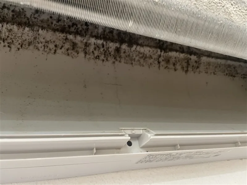 エアコン内部の水を受ける部分に付いた黒い汚れ。結露の水と一緒にドレンホースへ流れていく