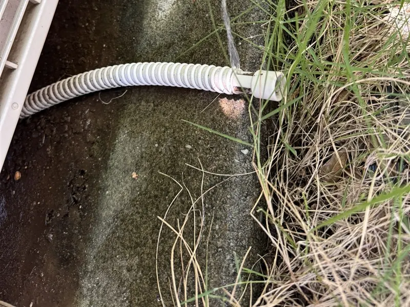 室外機の横で、草の生えた地面に伸びているドレンホース